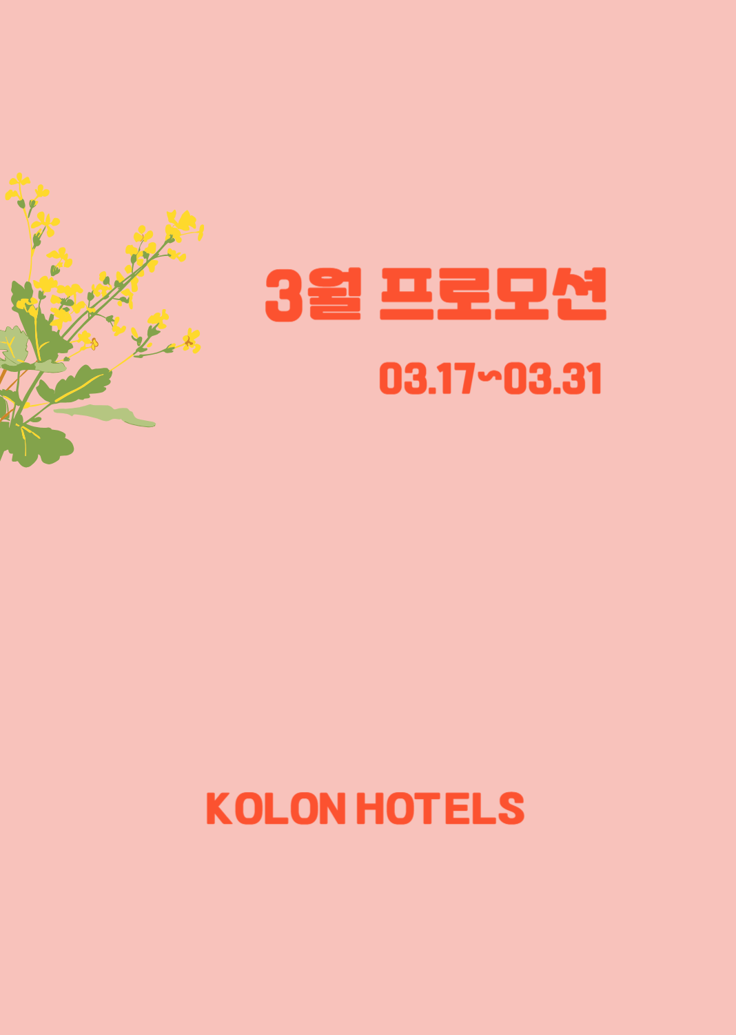 3월 프로모션2
