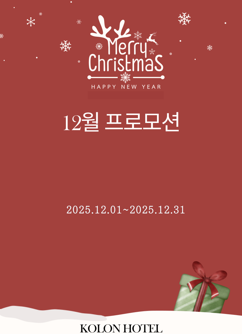 12월 프로모션
