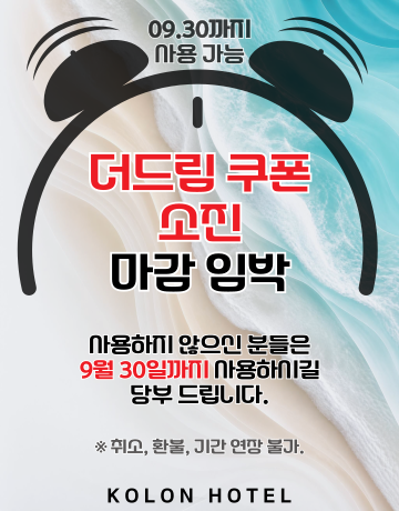 더드림 쿠폰 소진
