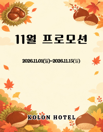 11월 프로모션
